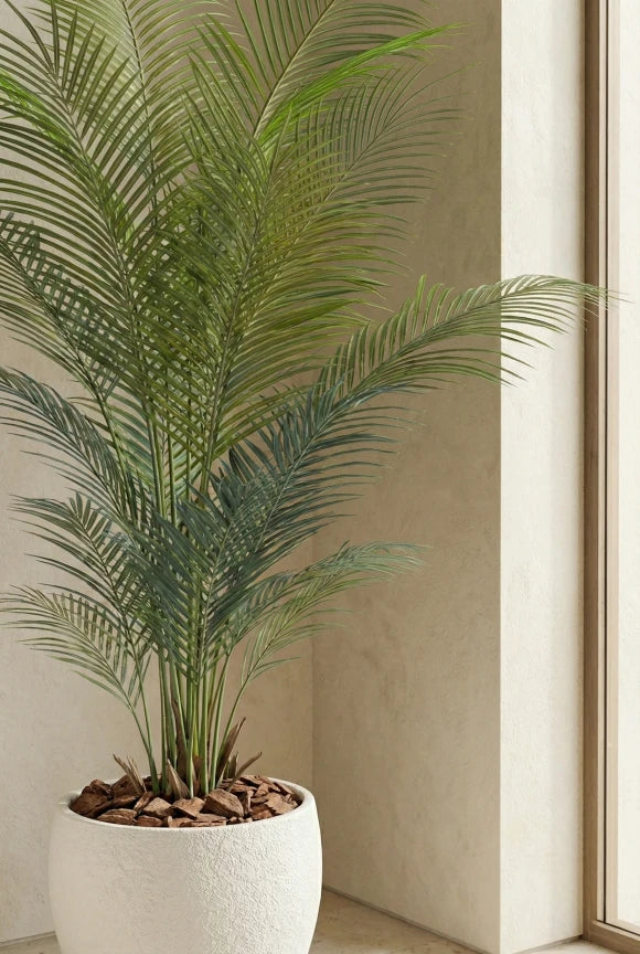 Artificial Areca Palm in Easington Pot - 170cm