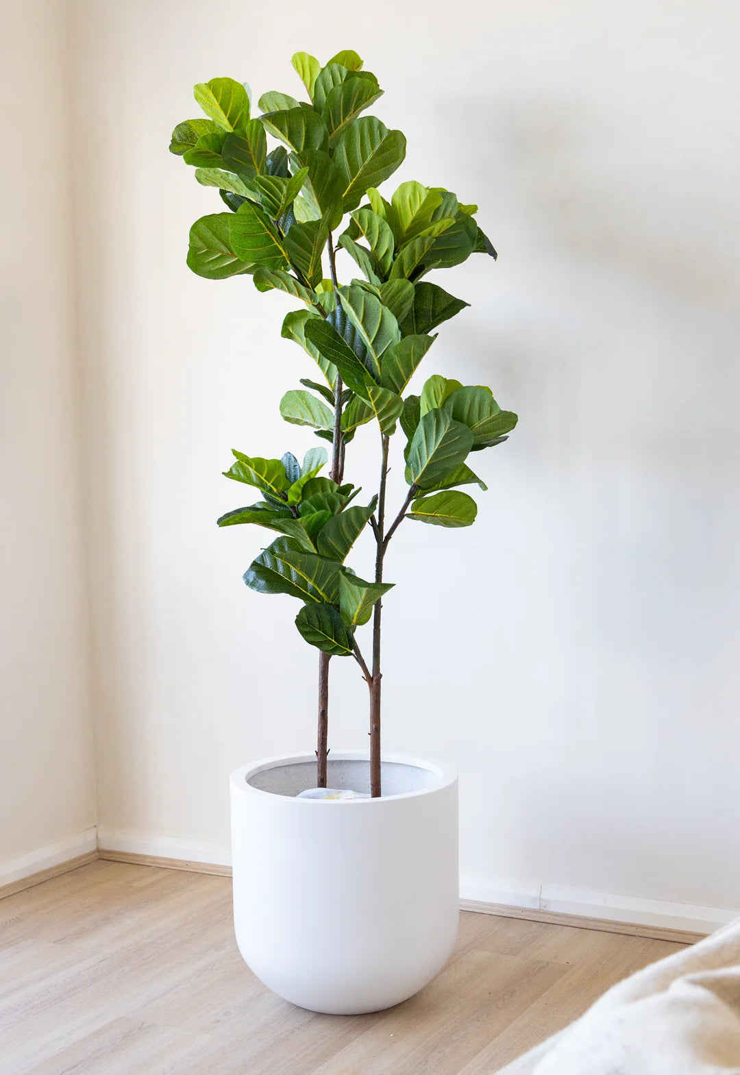 Premium Ultra-Realistic Fiddle Leaf Fig Tree (Faux)